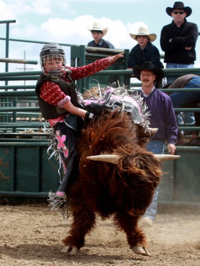 Mini Bull Riding